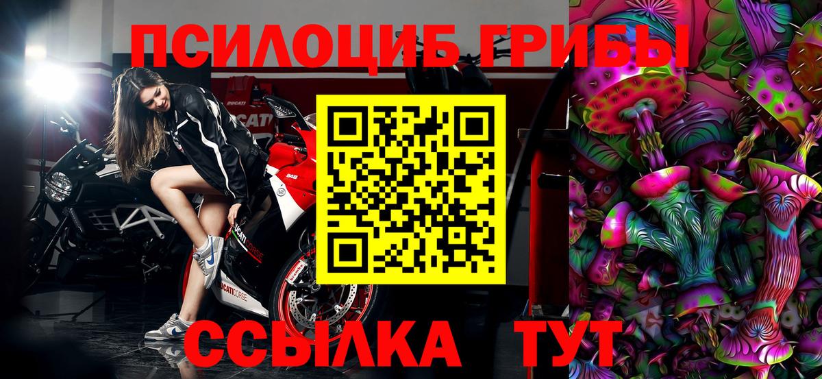 Галлюциногенные грибы Psilocybe  Вход с VPN  Мирный  Галлюциногенные грибы прущие грибы 