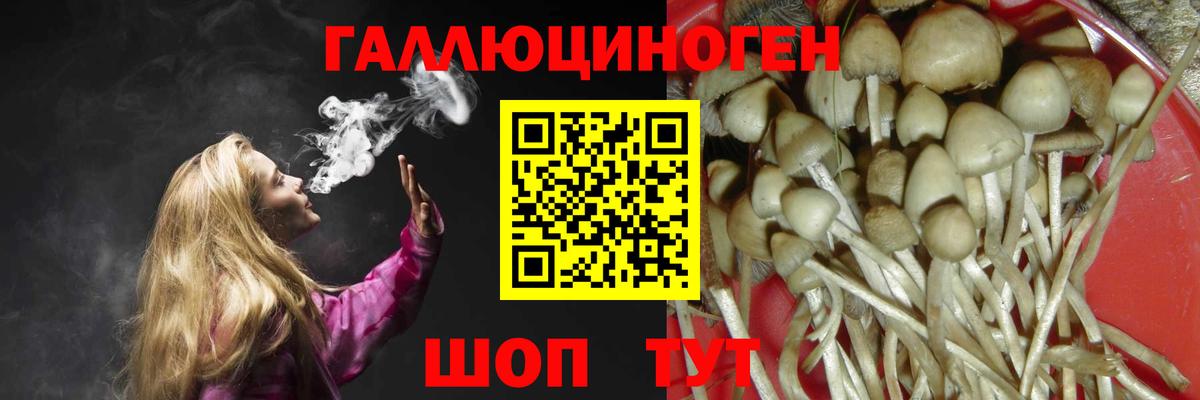 Галлюциногенные грибы мухоморы Мирный